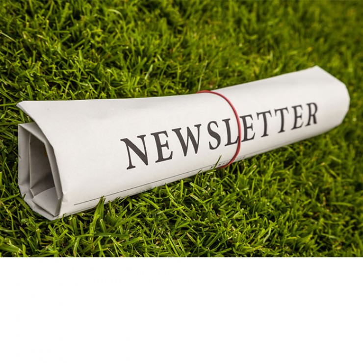 newsletters-and-videos.jpg